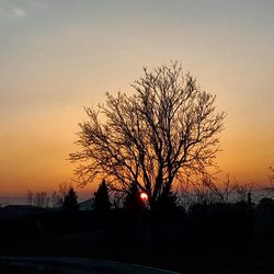 Silhouette bare tree against sky during sunset