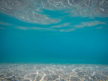 View of fish swimming in sea