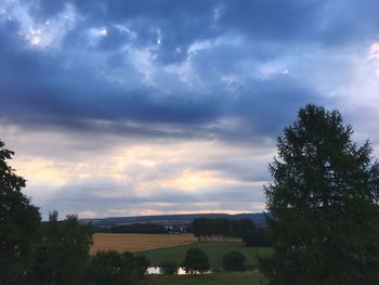 Trees on field against sky at sunset