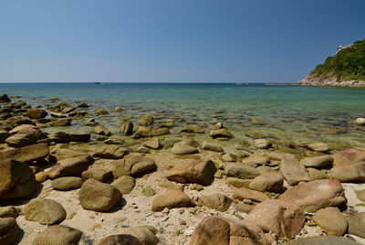 Scenic view of sea against clear sky