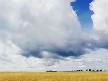 A summer morning walk