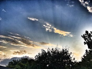 Low angle view of silhouette trees against sky