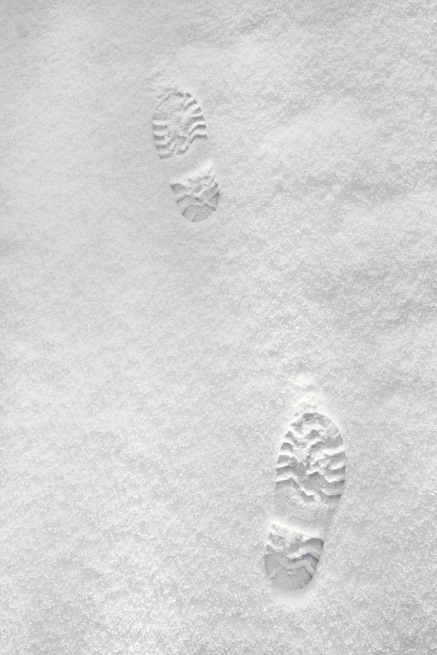 no people, pattern, sand, high angle view, close-up, beach, footprint, land, white, drawing, textured, backgrounds, nature, full frame, print, silver