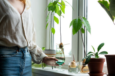 Midsection of woman holding potted plant at home