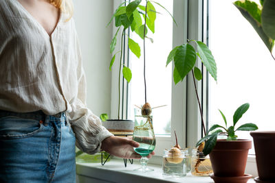 Home gardening concept. unrecognizable woman holding retro jar with avocado plant growing in water.