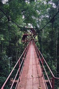 Footbridge in forest