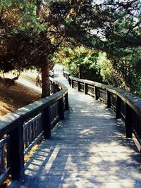 Walkway in park