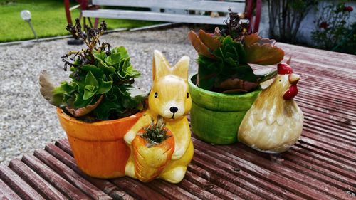 Close-up of potted plant