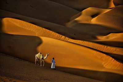 Man with camel on sand dune at dessert