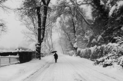 Rear view of man walking on snow covered trees