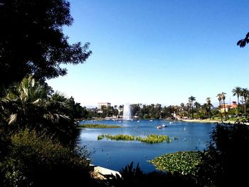 River with trees in background