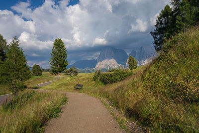 Road amidst plants and trees against sky