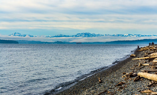 Olympic mountains landscape from west seattle, washington.