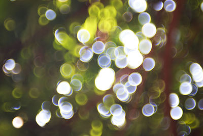 Defocused image of illuminated lights