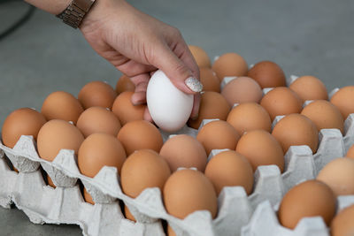 High angle view of hand holding eggs in container