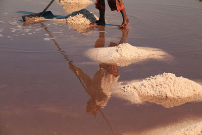 Low section of woman harvesting salt in the salt farm in kampot