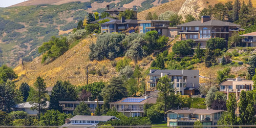High angle view of trees and houses in town