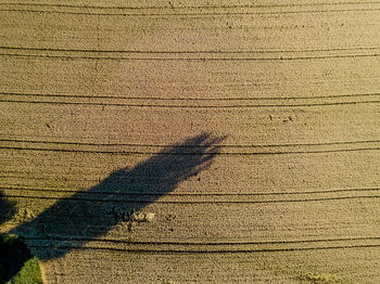 High angle view of shadow on ground