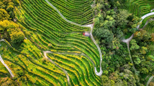 High angle view of landscape