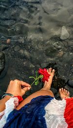 Low section of woman with rose standing in lake