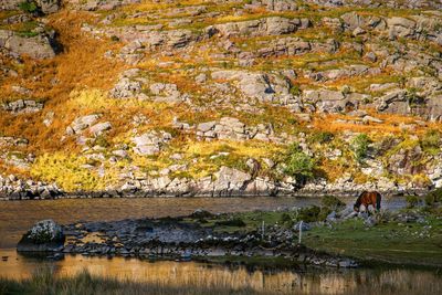 Scenic view of sea during autumn