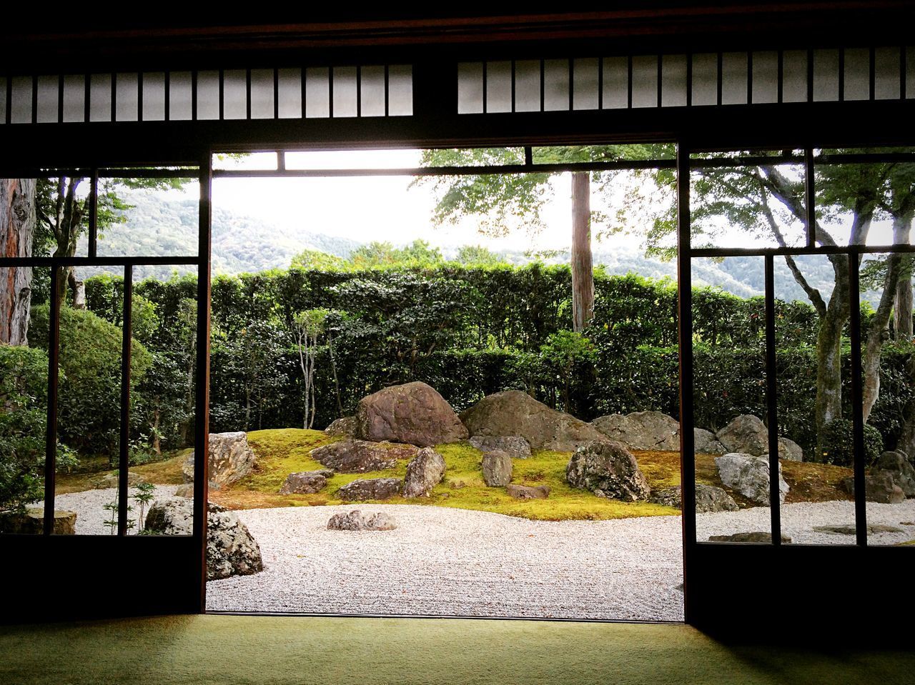 SCENIC VIEW OF TREE SEEN THROUGH WINDOW