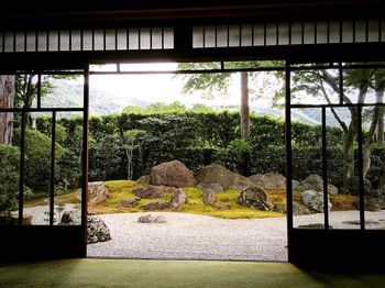 View of trees seen through window