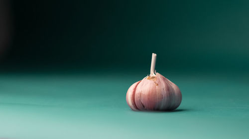 Close-up of garlic on table