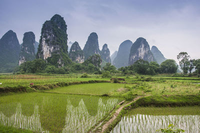 Scenic view of mountain against sky