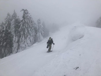 Rear view of person on snow covered mountain