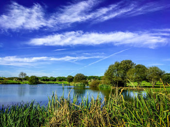 Scenic view of lake against blue sky