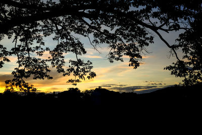 Silhouette trees against sky during sunset