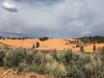 Scenic view of landscape against sky