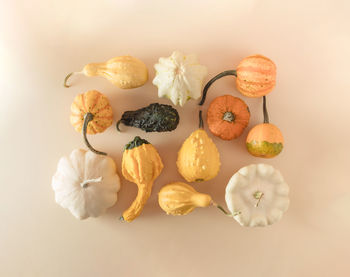 Creative fall layout made of pumpkins. autumn, halloween or thanksgiving season concept. flat lay