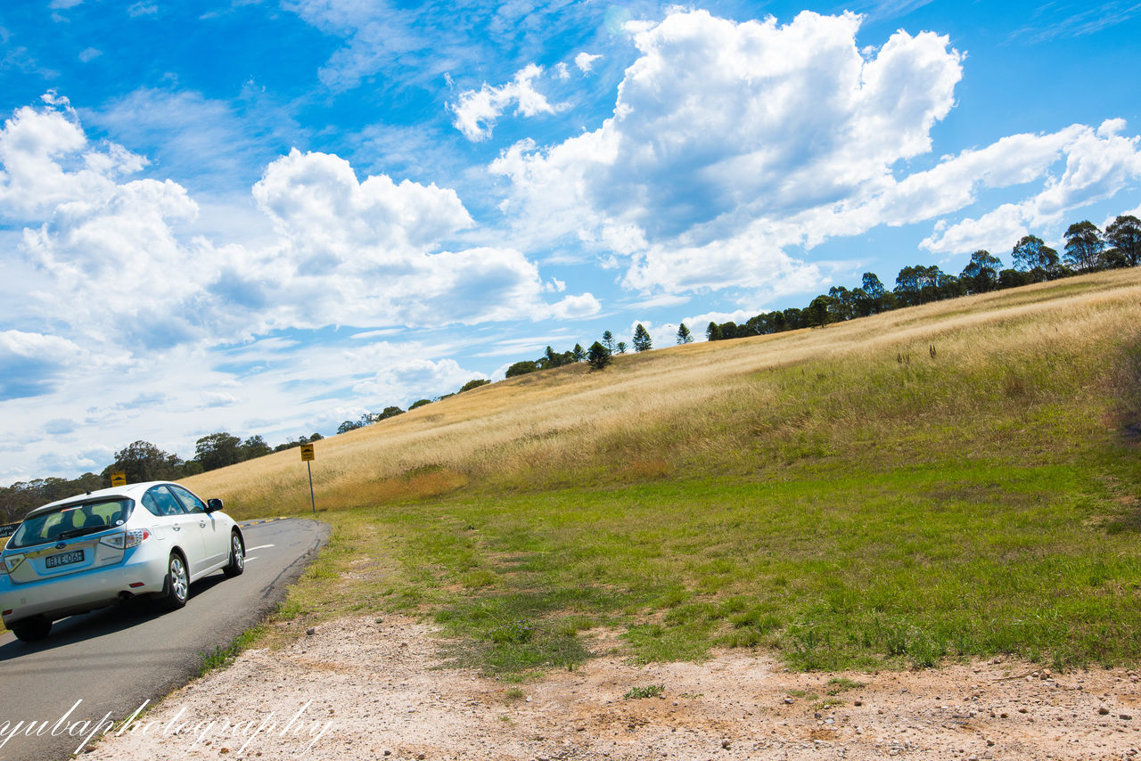 PANORAMIC VIEW OF ROAD AMIDST FIELD