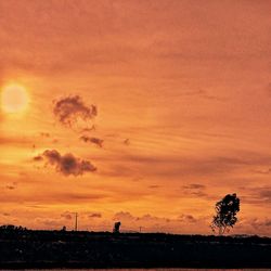 Silhouette of trees against dramatic sky