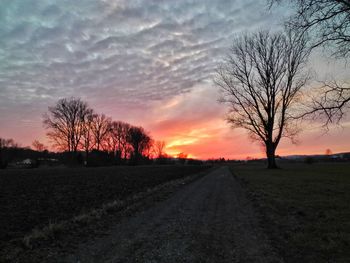 Silhouette bare trees on field against sky at sunset