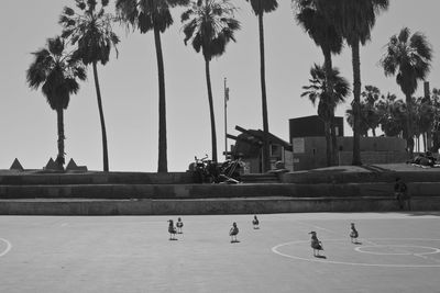 People playing in swimming pool