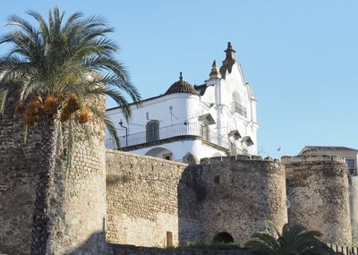 Low angle view of palm trees and building against sky