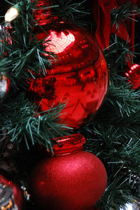 Close-up of illuminated christmas tree