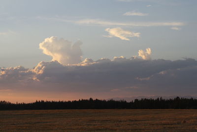 Scenic view of field against sky during sunset