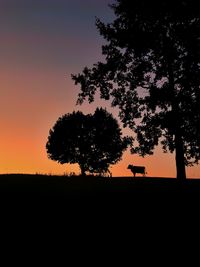 Silhouette trees on field against sky during sunset