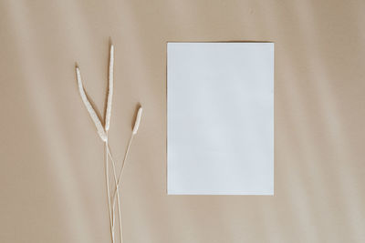 Directly above shot of blank adhesive note