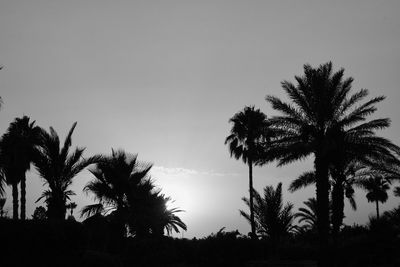 Low angle view of silhouette palm trees against sky at sunset