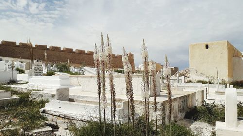 Buildings in city against sky