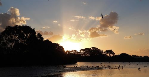 Scenic view of silhouette trees against sky during sunset