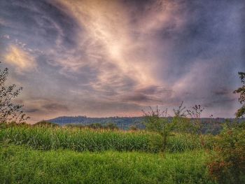 Scenic view of field against sky during sunset