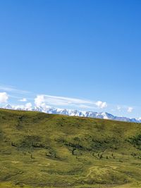 Scenic view of field against blue sky