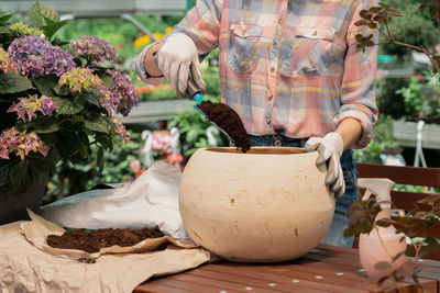 Midsection of man holding potted plant