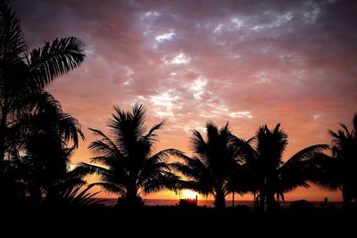 Silhouette trees on landscape against sky at sunset